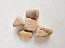 Load image into Gallery viewer, Picture jasper tumble stone