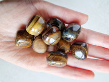 Load image into Gallery viewer, Gold tigers eye tumble stone