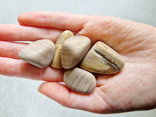 Load image into Gallery viewer, Picture jasper tumble stone