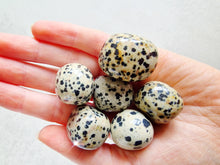 Load image into Gallery viewer, Dalmatian tumble stone