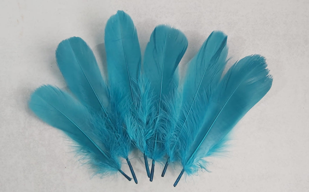 Goose feathers for crafting